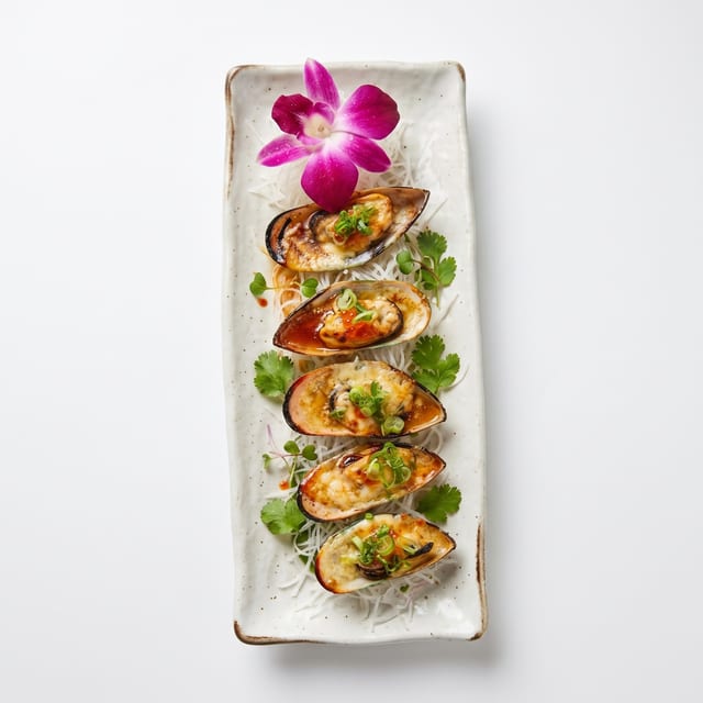 Green Mussel.